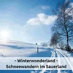 Pape - 300m2, 17 Betten - Mit Grossem Privatem Garten, Pool, Dart, Sauna-, Grill- Und Spielbereich - Ideal Fuer Familien * Eslohe