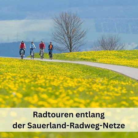 Pape - 300m2, 17 Betten - Mit Grossem Privatem Garten, Pool, Dart, Sauna-, Grill- Und Spielbereich - Ideal Fuer Familien Feriehus Eslohe