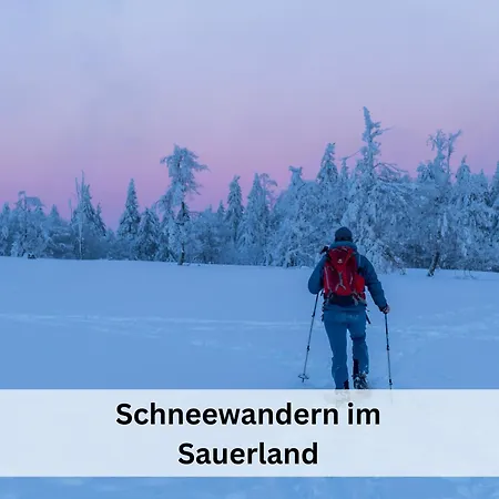 別荘 Pape - Grosses Familien- & Gruppenhaus Mit 17 Betten, Sauna, Spielbereiche, Garten Am Bach In Zentraler Lage In *