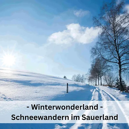 Oasis: Großfamilienparadies Mit Pool Und Wellness * Eslohe