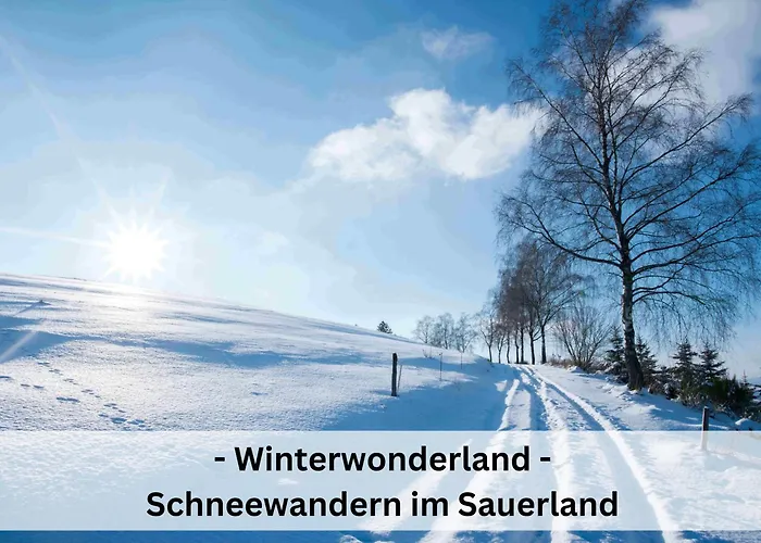 Pape - 300m2, 17 Betten - Mit Grossem Privatem Garten, Pool, Dart, Sauna-, Grill- Und Spielbereich - Ideal Fuer Familien * Eslohe